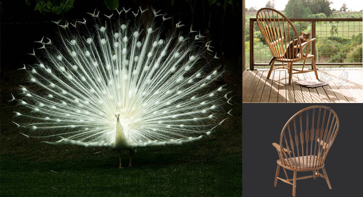 Modern Chair|Wooden Leisure Chair|Office Furniture||休闲椅,木质单椅